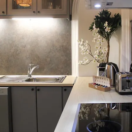 Elegant Parisian In The Heart Of The 9 Apartment *
